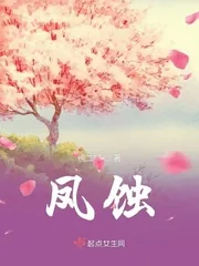 《凤蚀》小说封面