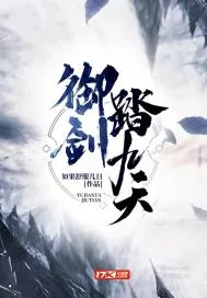 《御剑踏九天》小说封面