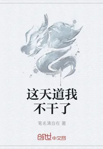 《这天道我不干了》小说封面