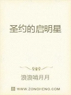 《圣约的启明星》小说封面