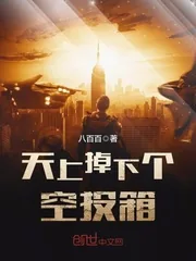 《天上掉下个空投箱》小说封面