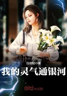 《我的灵气通银河》小说封面
