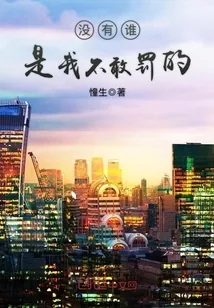 《没有谁，是我不敢罚的》小说封面