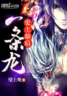 《史上最后一条龙》小说封面