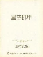 《星空机甲》小说封面