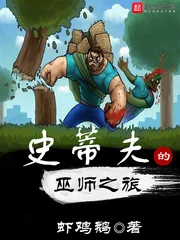 《史蒂夫的巫师之旅》小说封面