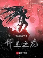 《忤逆之龙》小说封面