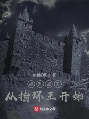 《祸乱诸天从指环王开始》小说封面