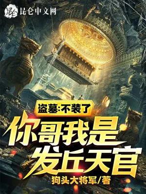 《盗墓：不装了，你哥我是发丘天官》小说封面