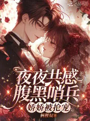 《夜夜共感腹黑哨兵,娇娇被抢宠》小说封面
