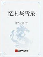 《忆末灰雪录》小说封面