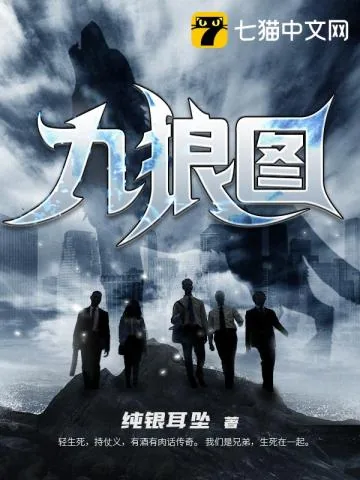 《九狼图》小说封面