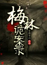 《梅林诡案录》小说封面