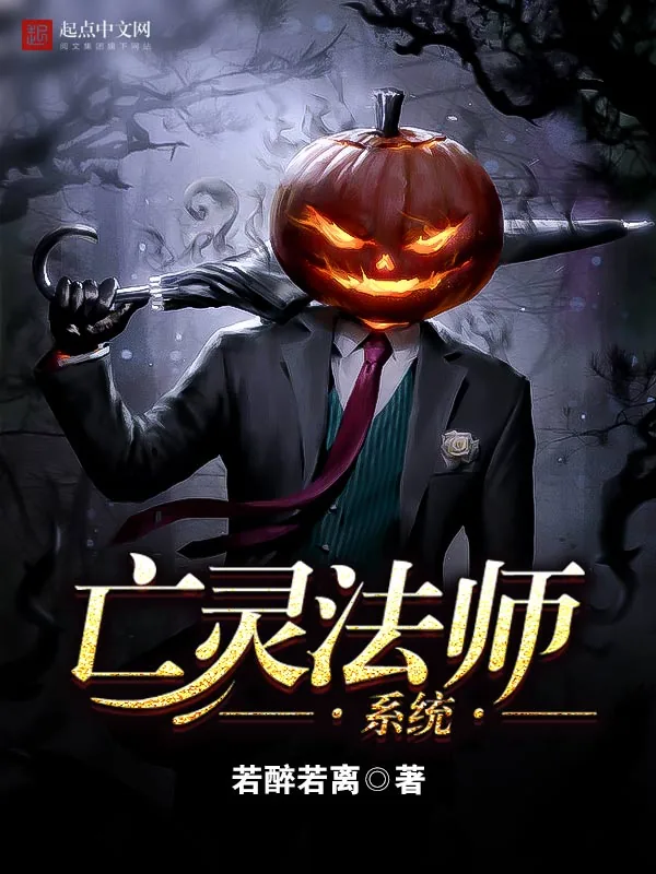 《亡灵法师系统》小说封面