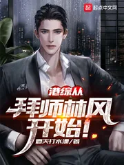 《港综从拜师林风开始》小说封面
