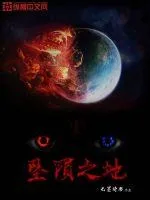 《坠陨之地》小说封面