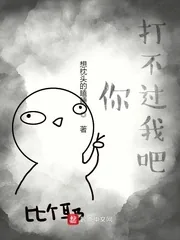 《你打不过我吧》小说封面