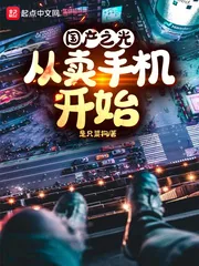 《国产之光:从卖手机开始》小说封面