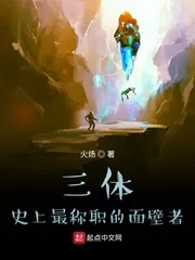 《三体:史上最称职的面壁者》小说封面