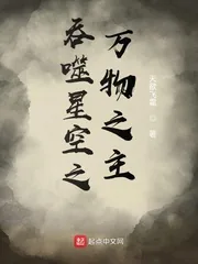 《吞噬星空之万物之主》小说封面