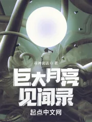 《巨大月亮见闻录》小说封面