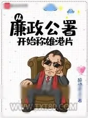 《从廉政公署开始称雄港片》小说封面