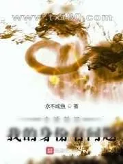 《全球轮回:我的身份有问题》小说封面
