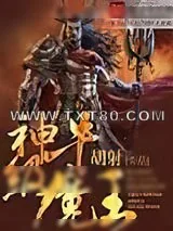 《盖世》小说封面