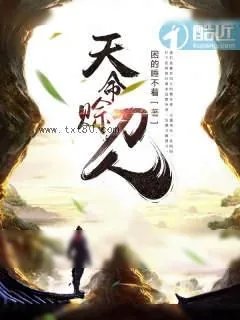 《天命赊刀人》小说封面