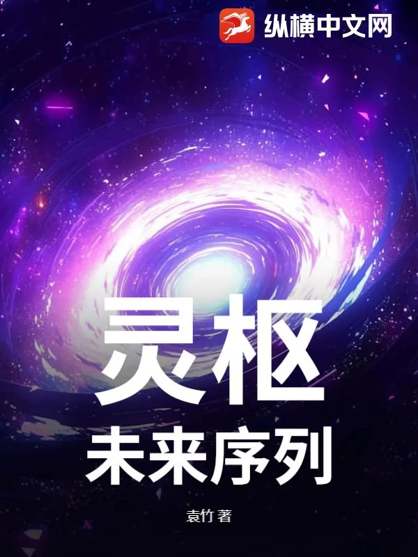 《灵枢:未来序列》小说封面