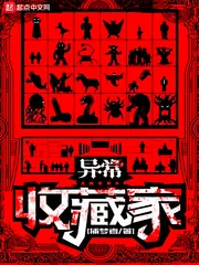 《异常收藏家》小说封面