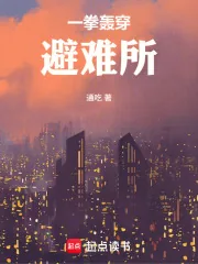 《一拳轰穿避难所》小说封面
