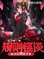 《规则怪谈:诡异的网恋对象》小说封面