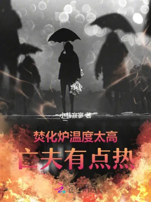 《焚化炉温度太高，前夫有点热》小说封面