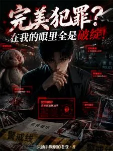 《完美犯罪？在我的眼里全是破绽！》小说封面