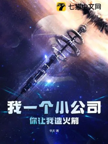 《我一个小公司，你让我造火箭？》小说封面