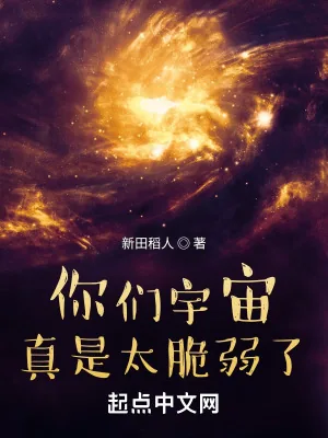 《你们宇宙真是太脆弱了》小说封面