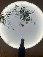 《无为之王》小说封面