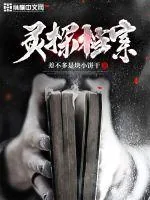 《灵探档案》小说封面