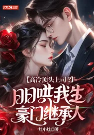 《高冷顶头上司？日日哄我生豪门继承人》小说封面