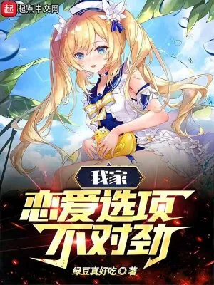 《我家恋爱选项不对劲》小说封面