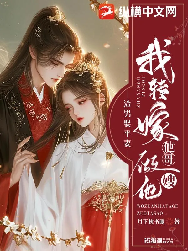 《渣男娶平妻？我转嫁他哥做他嫂》小说封面