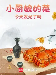 《小厨娘的菜，今天又发光了吗》小说封面
