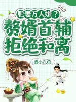 《肥妻万人嫌？赘婿首辅拒绝和离》小说封面