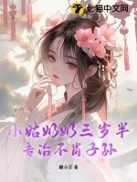 《小姑奶奶三岁半,专治不肖子孙》小说封面