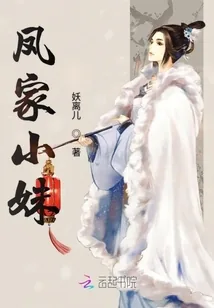 《凤家小妹》小说封面