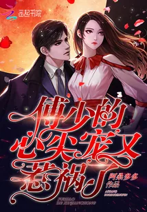 《傅少的心尖宠又惹祸了》小说封面