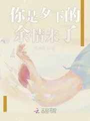 《你是夕下的余情未了》小说封面