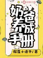 《奶爸养成手册》小说封面